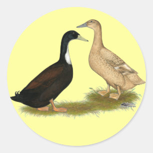 Hybrid Laying Duck Classic Round Sticker