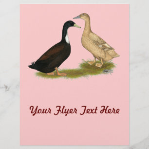 Hybrid Laying Duck Flyer