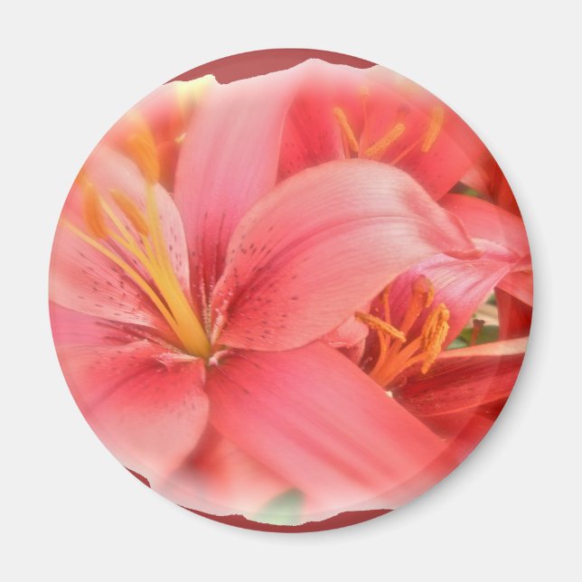 Hybrid Lilies Coordinating Items Magnet (Front)