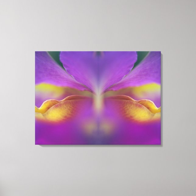 Hybrid orchid, Florida 2 Canvas Print (Front)