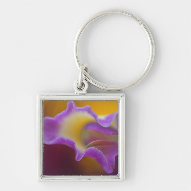 Hybrid orchid, Florida Keychain (Front)