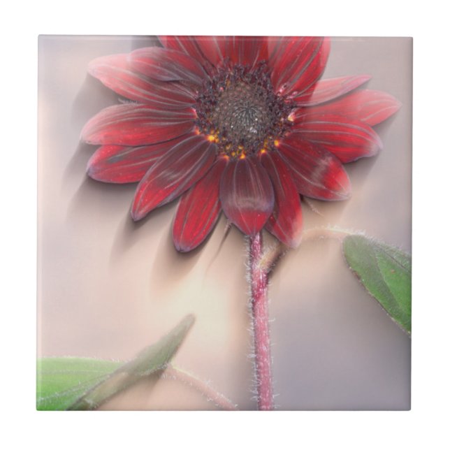 Hybrid sunflower blowing in the wind tile (Front)