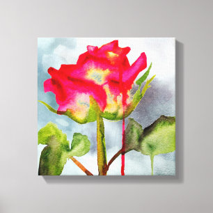 Hybrid Tea Rose watercolor art modern flower Canvas Print