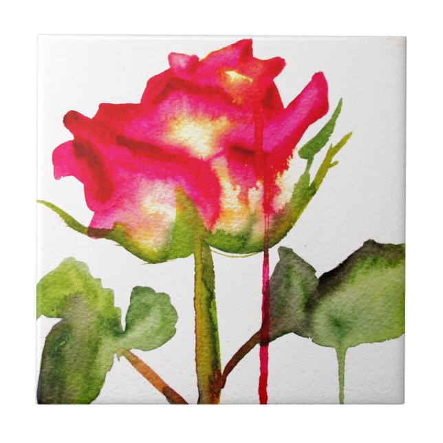 Hybrid Tea Rose watercolor modern flower art Tile (Front)