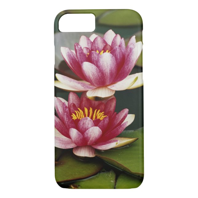 Hybrid water lilies Case-Mate iPhone case (Back)
