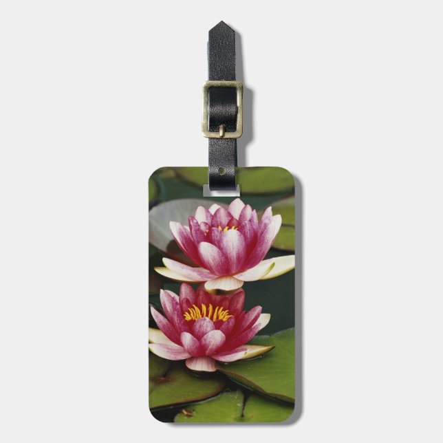 Hybrid water lilies luggage tag (Front Vertical)