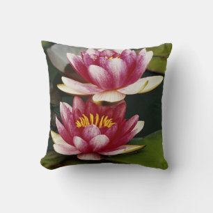 Hybrid water lilies throw pillow