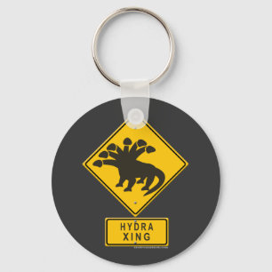 Hydra XING Keychain