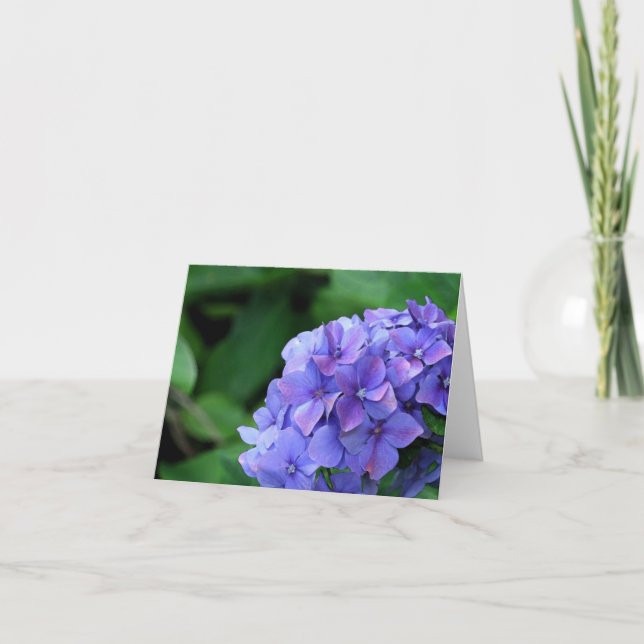 Hydrangea 6893 card (Front)