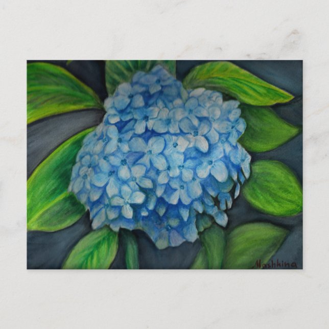 Hydrangea aquarelle Carte postale (Devant)
