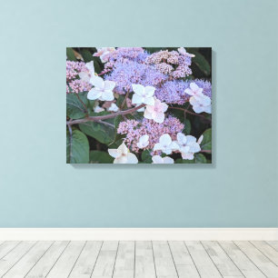 Hydrangea Aspera Flowers Floral Canvas Print