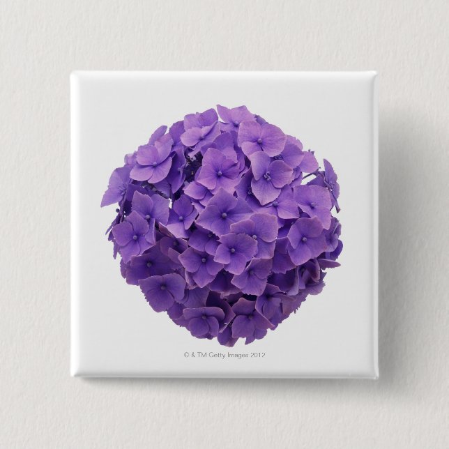 Hydrangea Ball Close-up 2 Inch Square Button (Front)