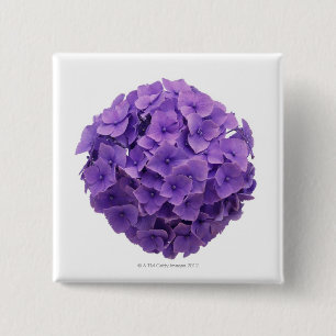 Hydrangea Ball Close-up 2 Inch Square Button