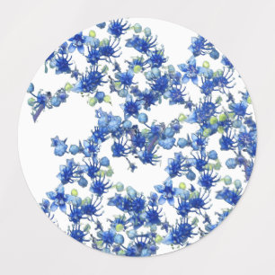 Hydrangea (BGC transparent)
