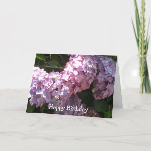 Hydrangea Birthday Greeting Card