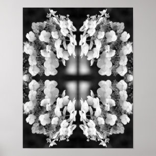 Hydrangea Black And White Mirror Abstract Poster