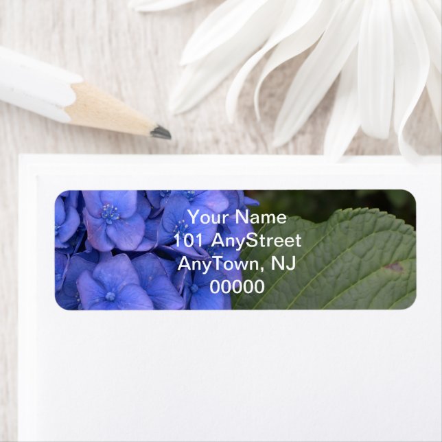 Hydrangea Bleue Florale (En situation)
