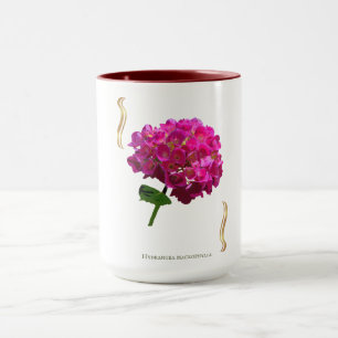 Hydrangea Bloom – Vintage Botanical Fuchsia Mug