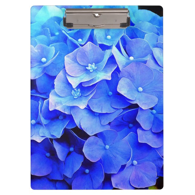 Hydrangea Blues Clipboard (Front)