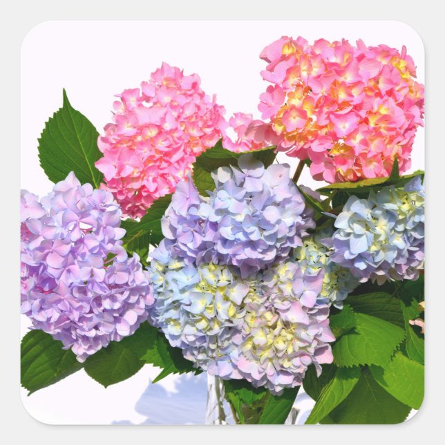 Hydrangea Bouquet Square Sticker (Front)