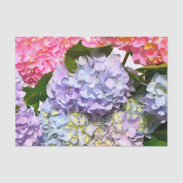 Hydrangea Bouquet Tissue Paper (Front)