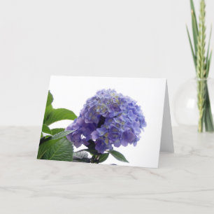 Hydrangea Bush Greeting Card