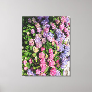 Hydrangea bush Toile tendue Canvas Print