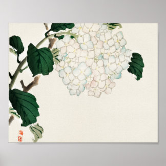 Hydrangea by Kōno Bairei Poster