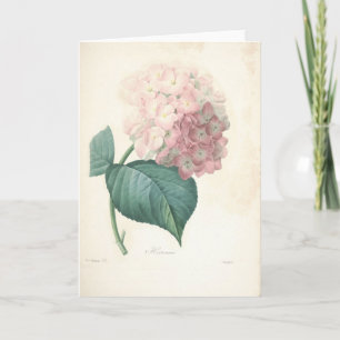 Hydrangea by Redoute Botanical Sympathy Card