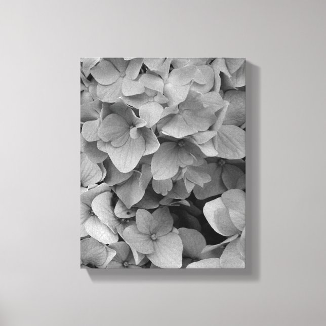 Hydrangea Canvas Print (Front)