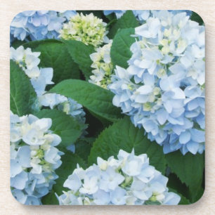 Hydrangea Coaster Set
