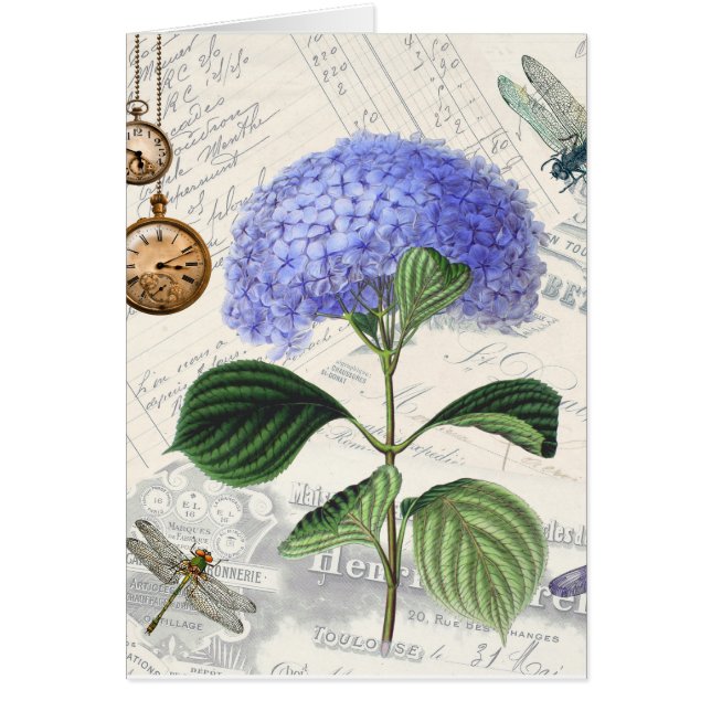 Hydrangea Collage (Front)