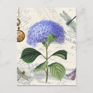 Hydrangea Collage Postcard