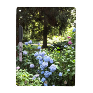 Hydrangea Floral Trees Nature Photography Dry Erase Board