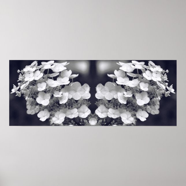 Hydrangea Flower Black And White Mirror Abstract Poster (Front)