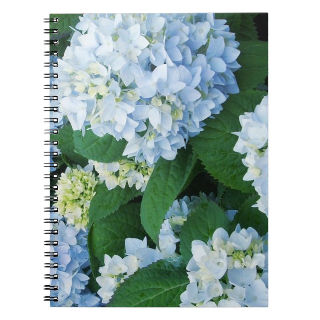 Hydrangea Flowers Notebook (Front)