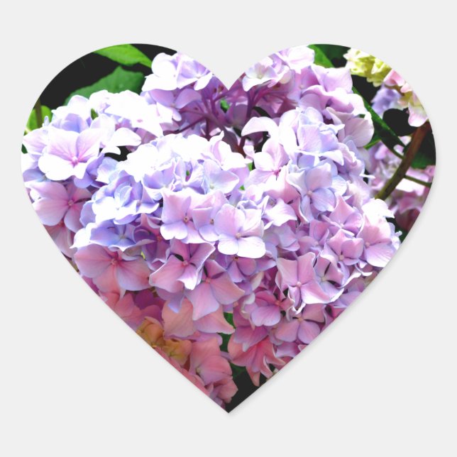 Hydrangea garden, pink, blue, purple floral heart sticker (Front)