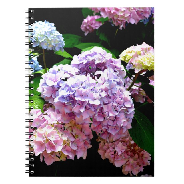 Hydrangea garden, pink, blue, purple floral notebook (Front)