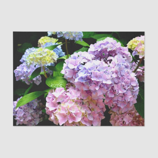 Hydrangea garden, pink, blue, purple floral tissue paper (Front)