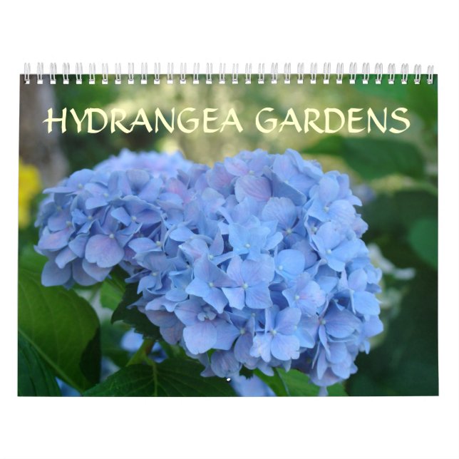 HYDRANGEA GARDENS Calendar Blue Hydrangeas (Cover)