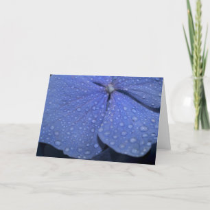 Hydrangea Greeting Card