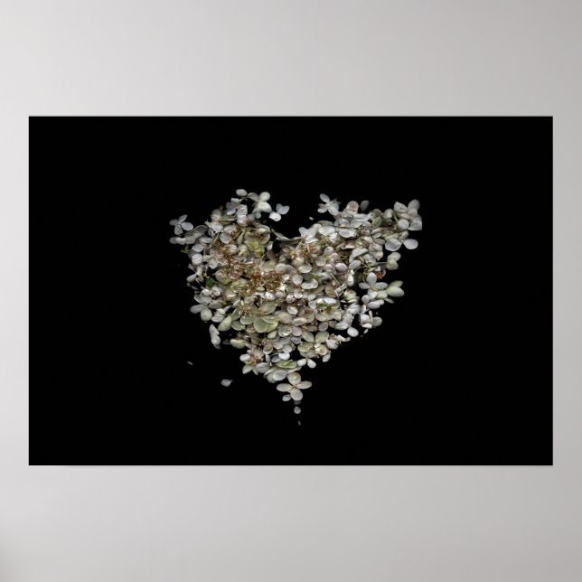 Hydrangea Heart Botanical Poster (Front)