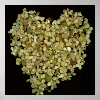 Hydrangea Heart Botanical Poster |Lovely2