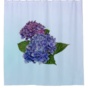 Hydrangea in Shades of Purple