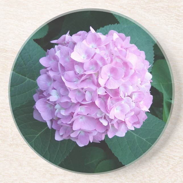 Hydrangea lovers coaster for your home (Front)