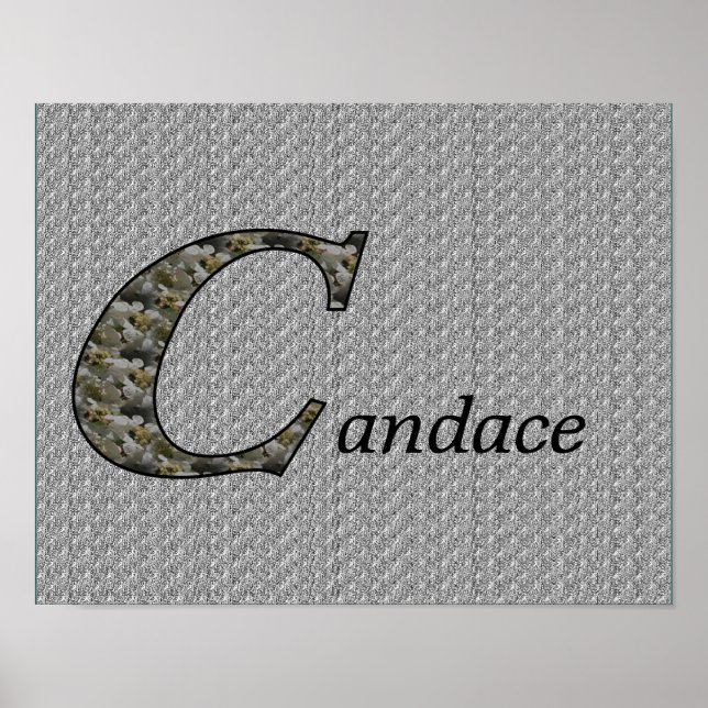 Hydrangea Monogram Initial C Personalized Poster (Front)