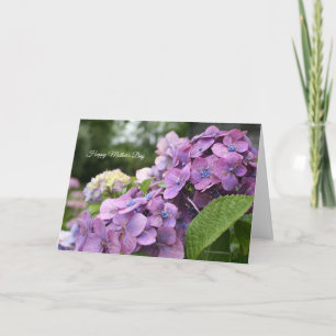 Hydrangea Mother's Day Card