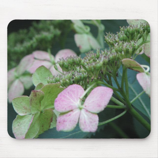 hydrangea mouse pad (Front)