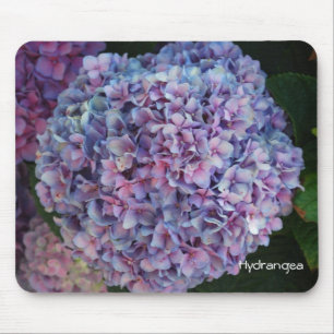 Hydrangea Mouse Pad