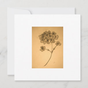 Hydrangea muted Invitation/ Greeting card